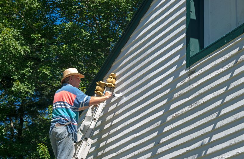 Wood Cladding Painting in Fort Collins, CO